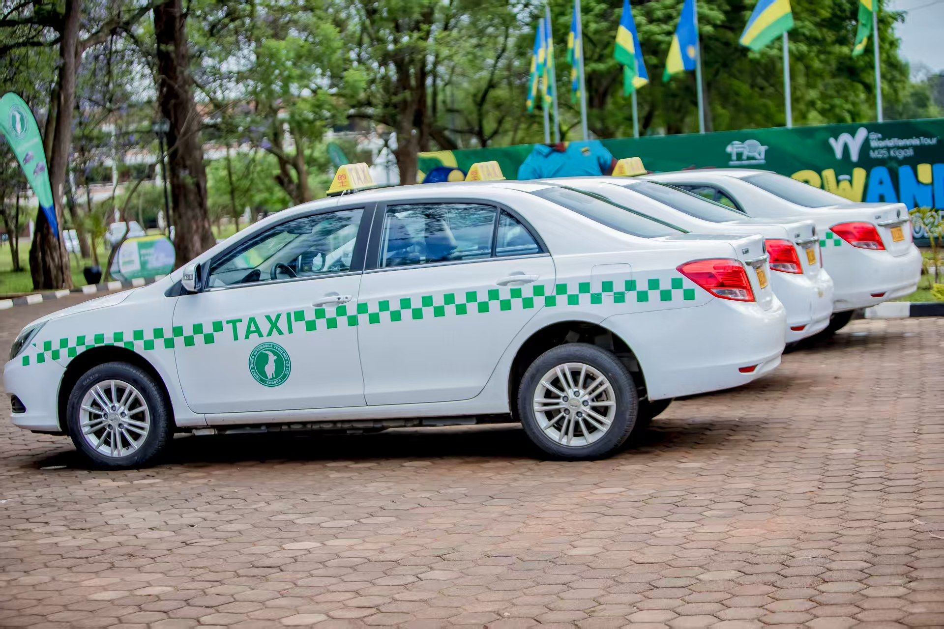 Triple Goats Electric Taxi